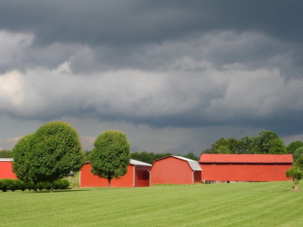 Storm Clouds Seeing Red