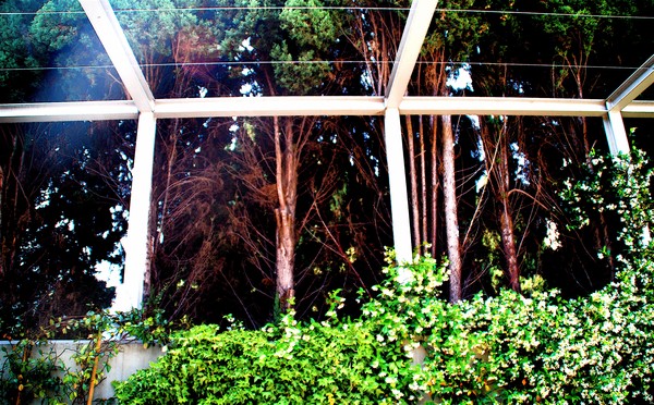 Framing Nature