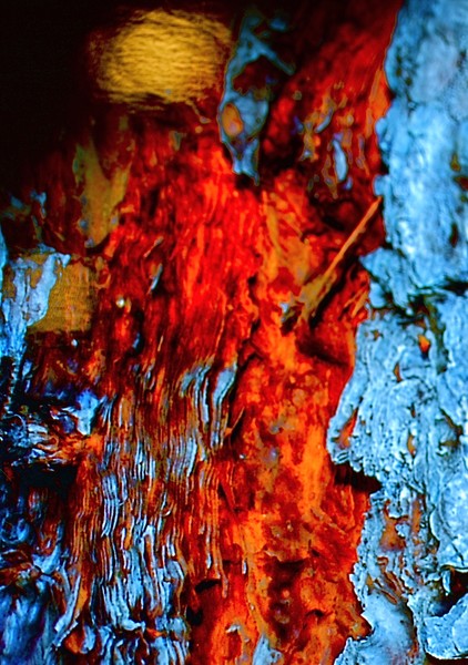 Blue Demon's Inferno