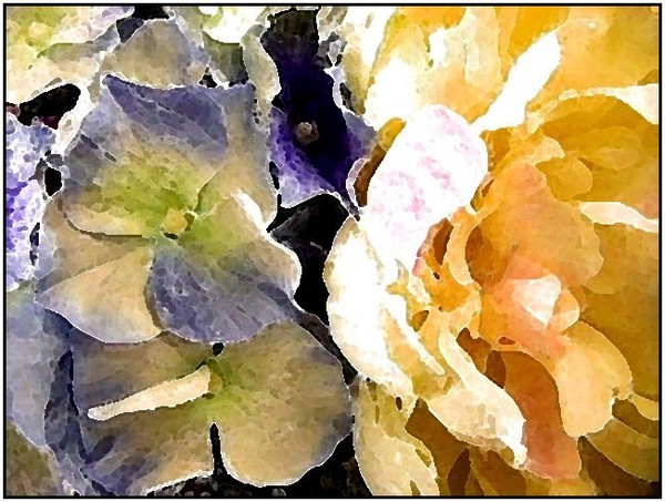 COULEURS D'AVRIL