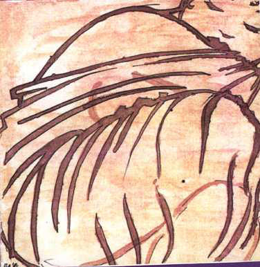 study in brown1