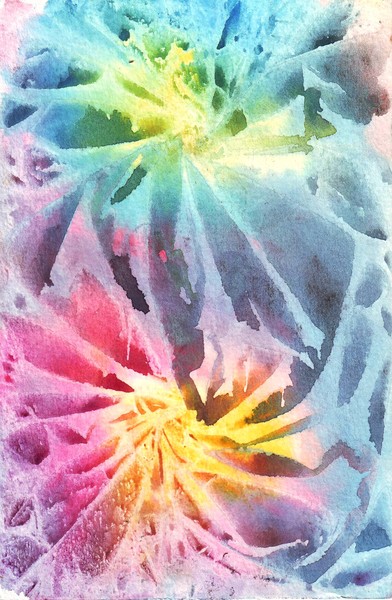 Starflowers2