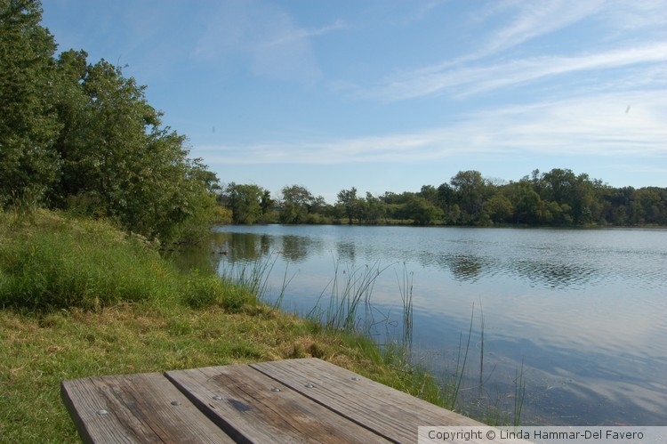 Sitting by Wampum Lake on a Warm Day