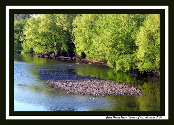 Flowing along the Mighty Murray  