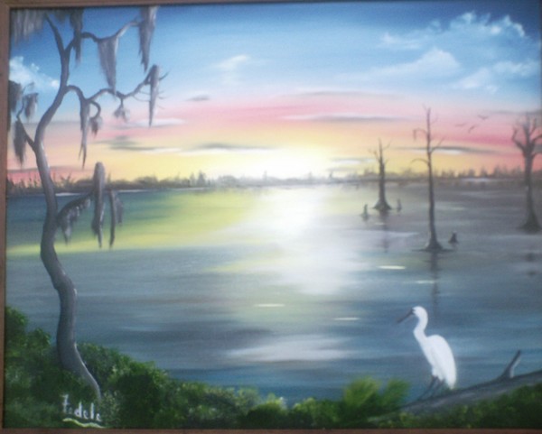 sunset on Florida Swamp