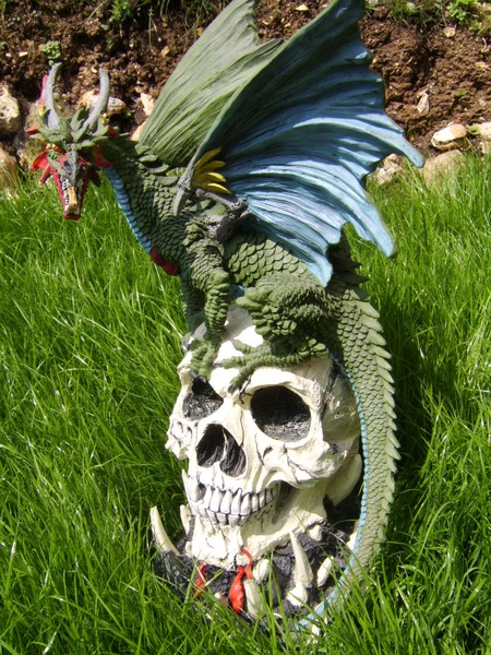 Skull dragon