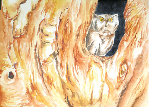 The Owl