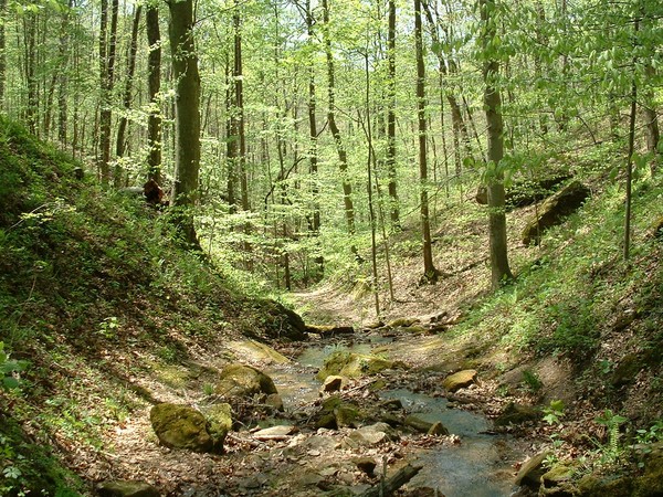 Just part of the Path