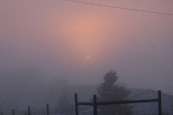 foggy sunset