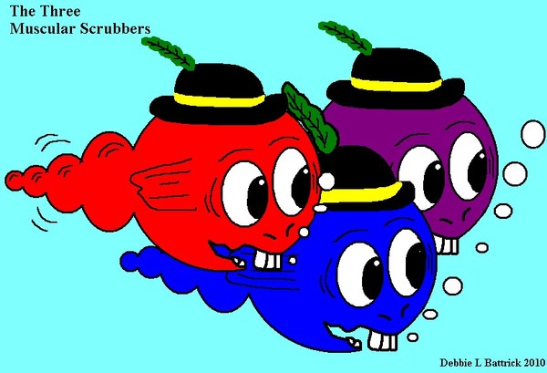 My Three Muscular Scrubbers