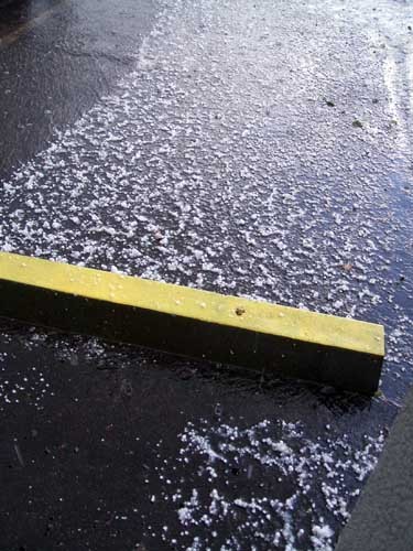 All Hail the Yellow LIne