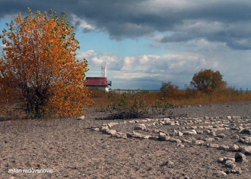 Leuty Street Lifeguard Station