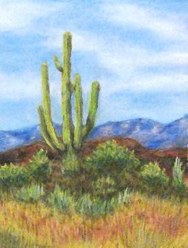 Cactus