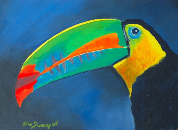 Blue Toucan