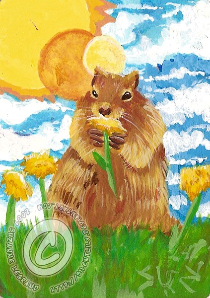 Groundhog with Daffodils