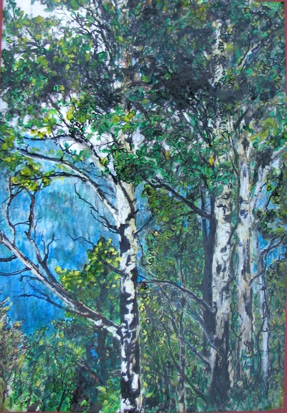 summer aspens