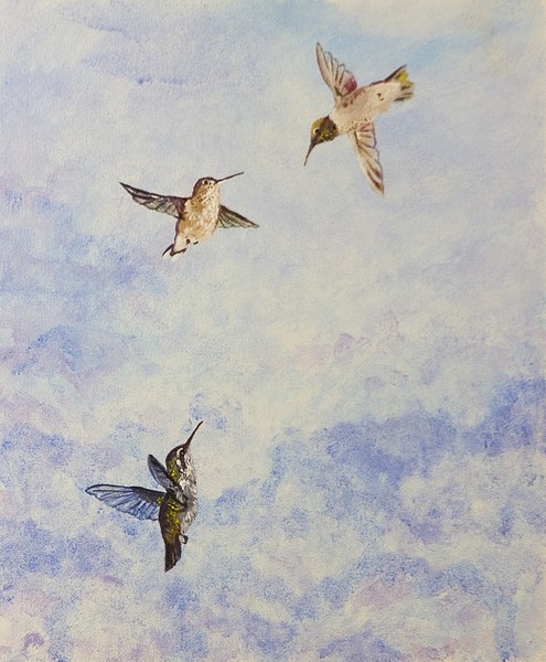 Battle of the Hummingbirds