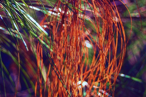 connections
