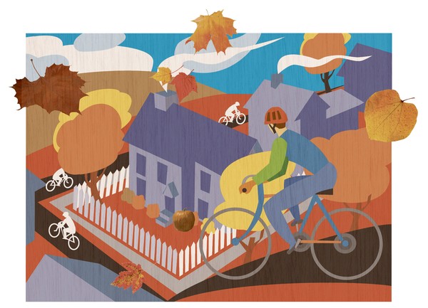 Cycle Tours