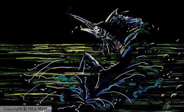 ocean surface sailfish