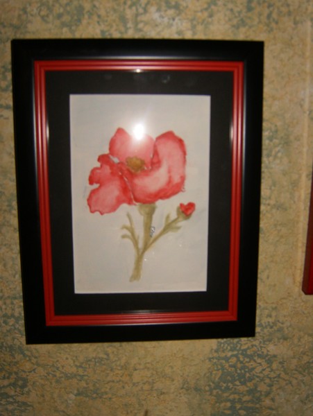 Red Poppy