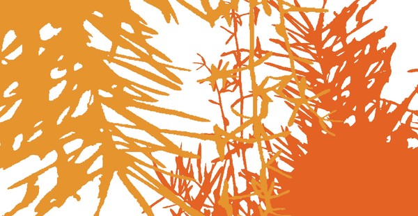 orange brush