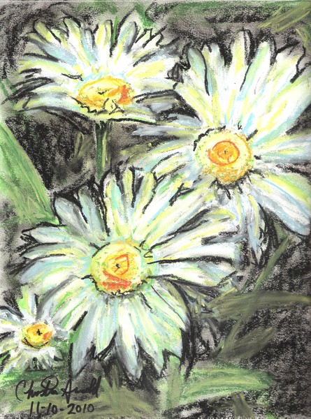 Daisies