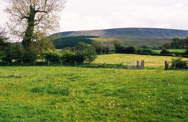 Pendle Hill 3
