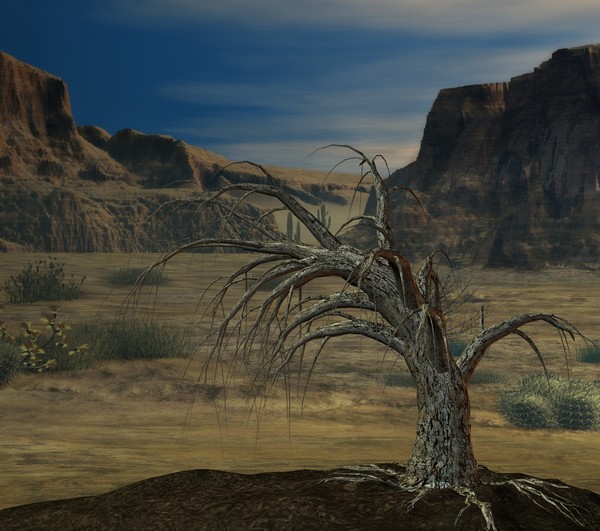 another ancient tree