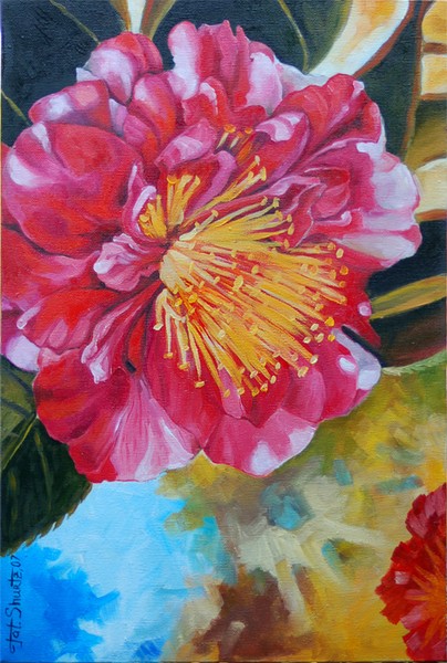 Striped Camellia