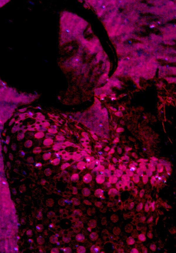 Dark Series