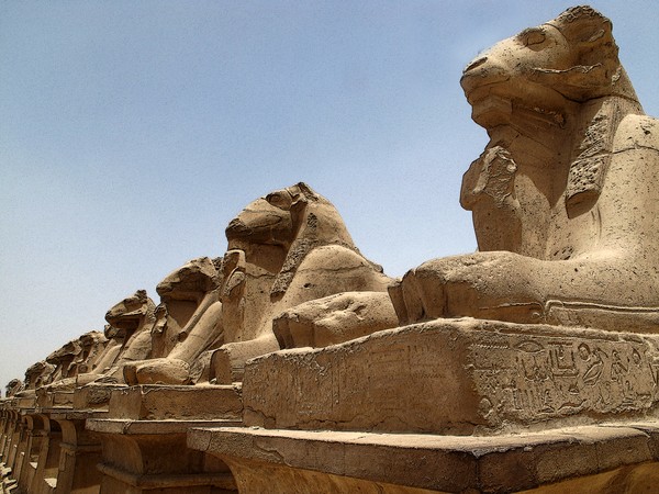 Egypt Ave of Sphinx 3989