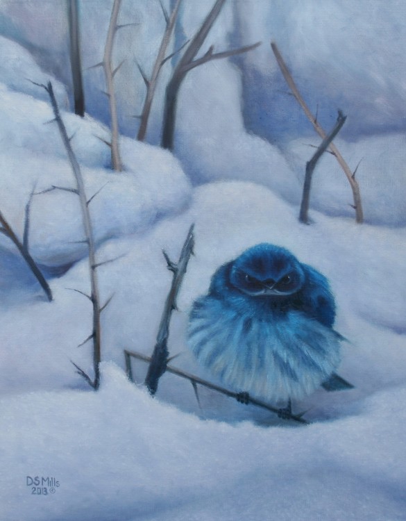 Bluebird of Happiness?