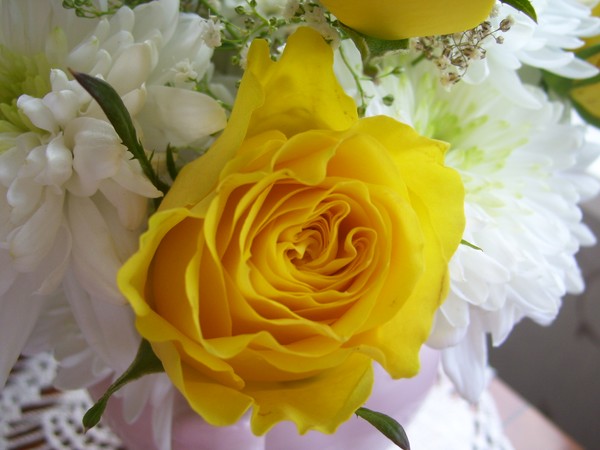 Yellow Folds