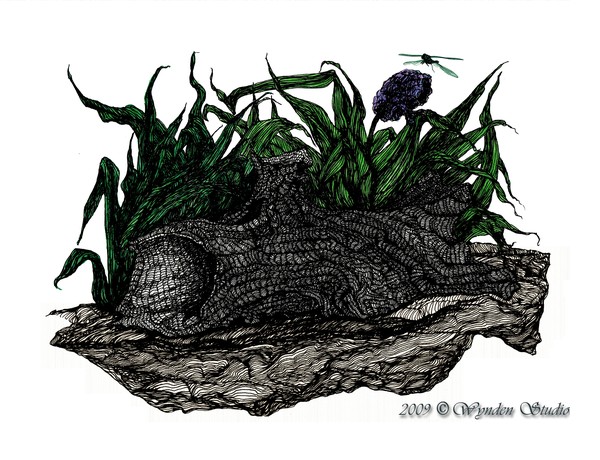 The Log