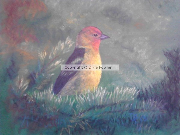 A bird in the bush