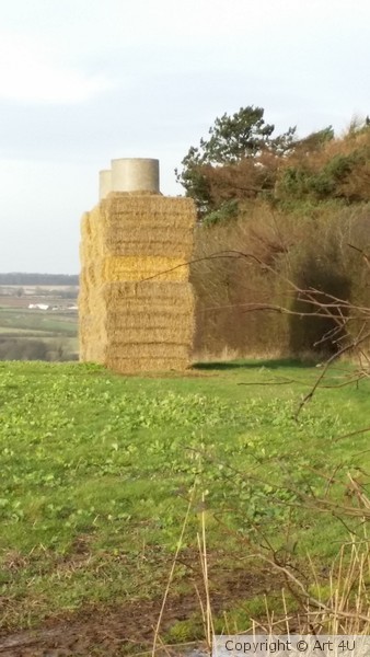 The Haystack