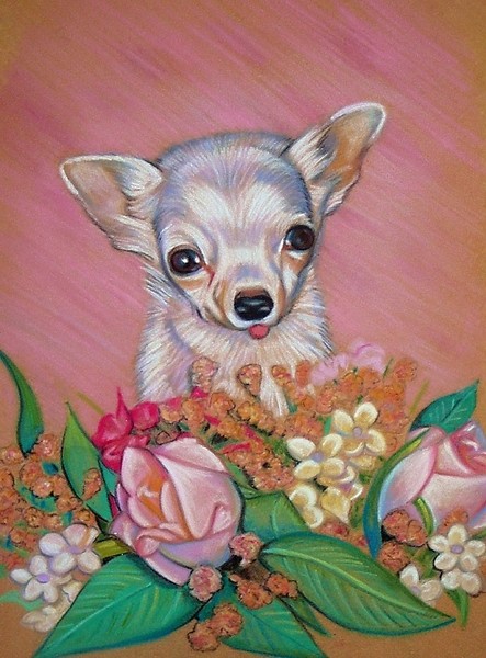 Trixie