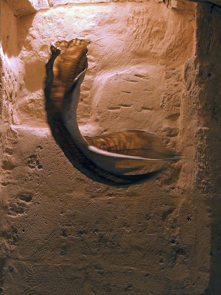 fossile futuro