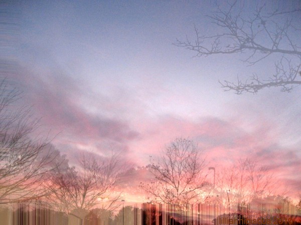 Evening Comes