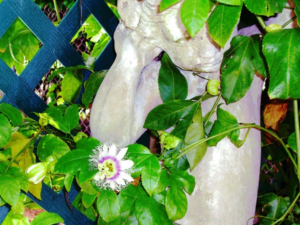 Passion with Statue