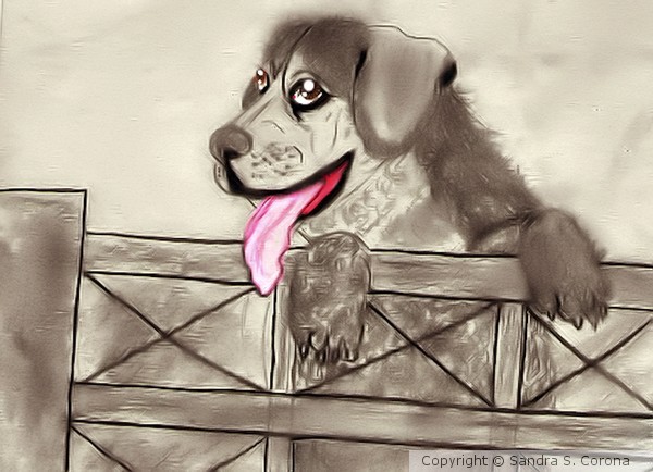 Dog on a Fence