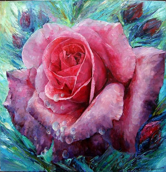 Morning rose