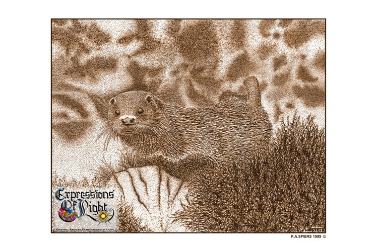 ExpoLight-Graphic-Arts-Otter-1989-0001 (Pen-&-Ink-Sepia-SP)