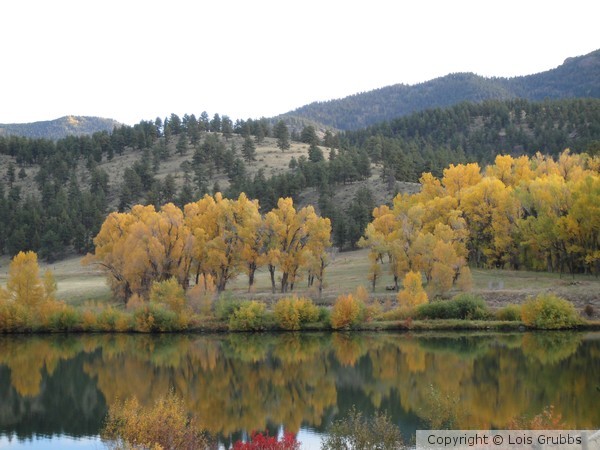 Fall Foilage Sept 2011 My camera 045