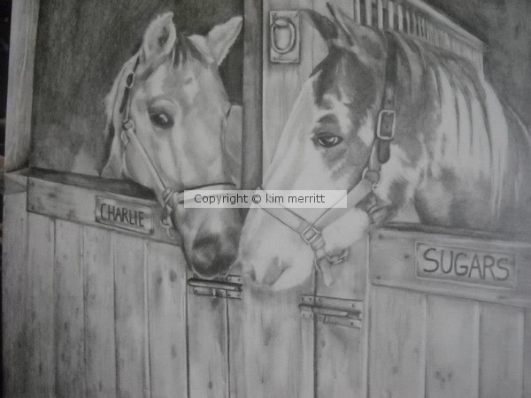 Commissioned Pencil Sketch