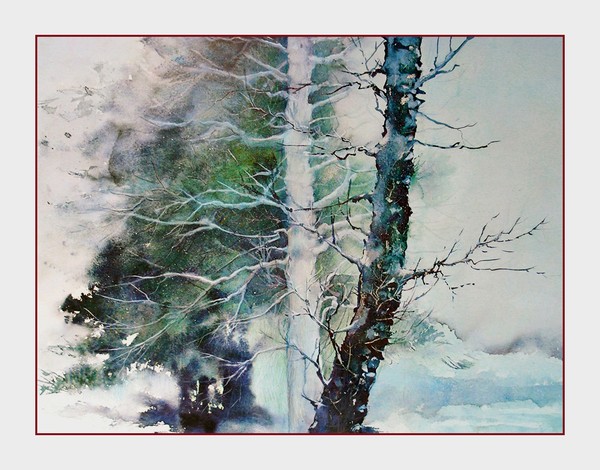 Alders and Cedars