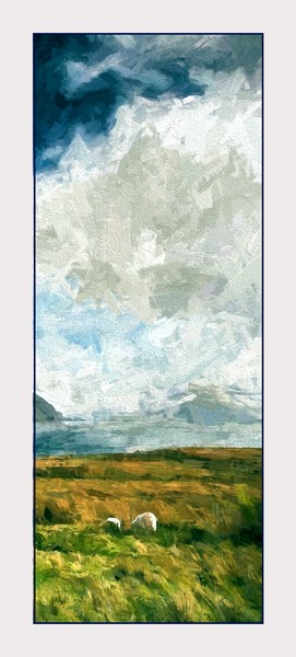 Sheep and Clouds