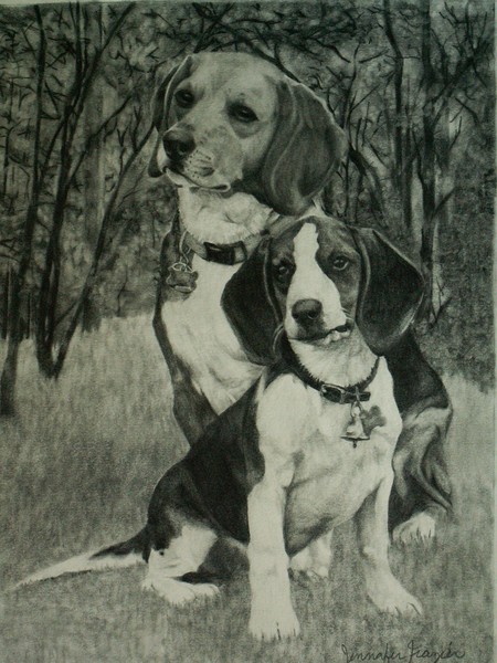 Two Beagles