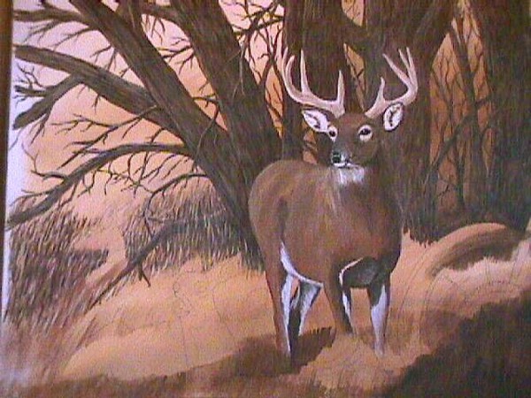 Deer
